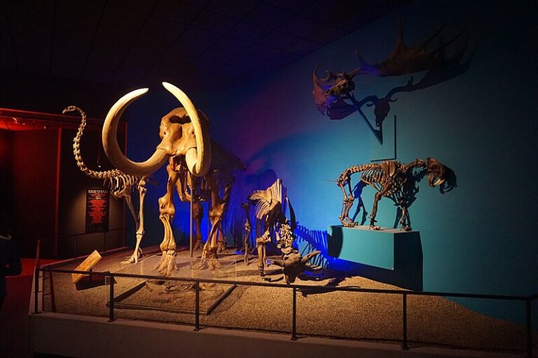 Mapping Museums Lab Mapping Museums Lab